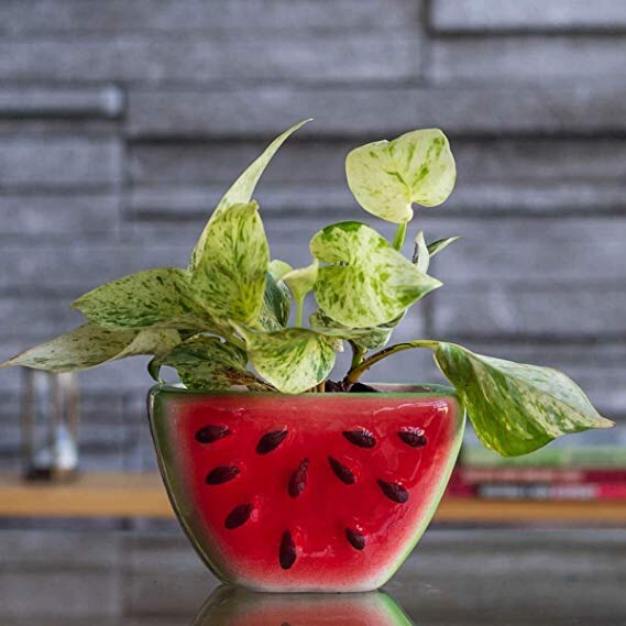 Watermelon Ceramic Planter (Multicolour)